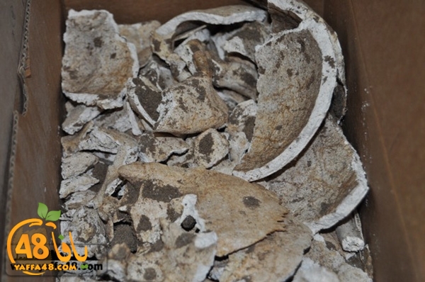 maqbara qeshleah (3).jpg